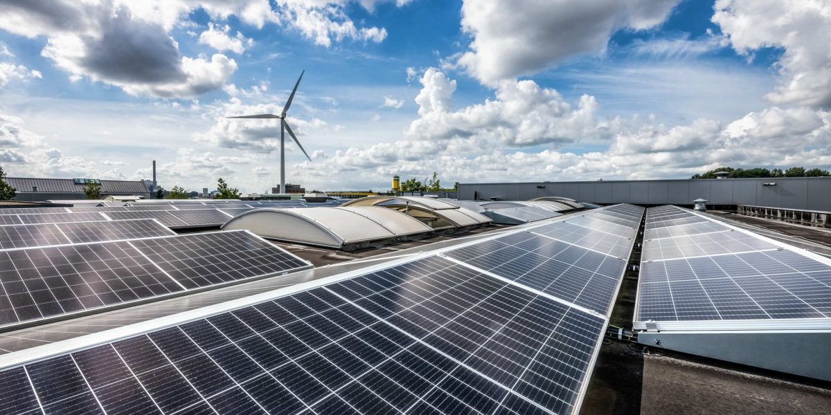 Back-Upweg11-Zonnepanelen-FTF9381